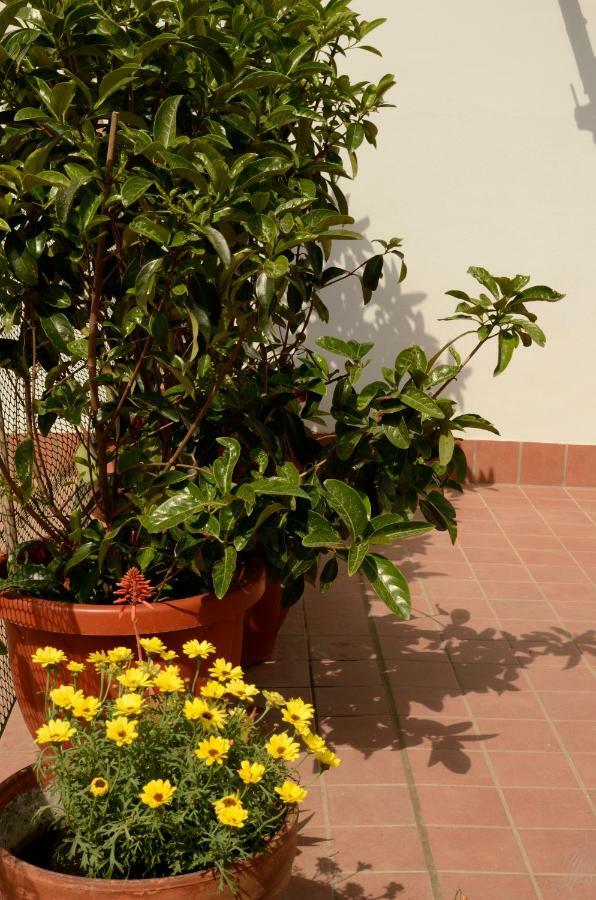 Apartmán Terrazza Eurialo Neapol Exteriér fotografie